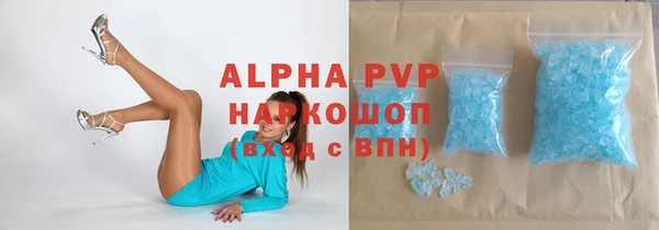 СК Покачи