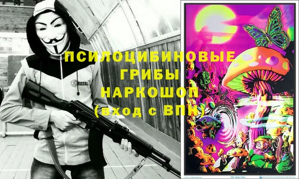 СК Покачи